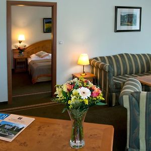 Suite mit 1 Schlafzimmer und mit Kingsize-Bett